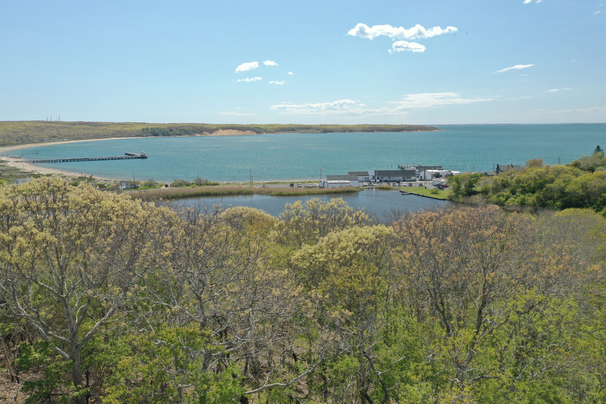 East Meets West Martha Greene Real EstateMartha Greene Real Estate