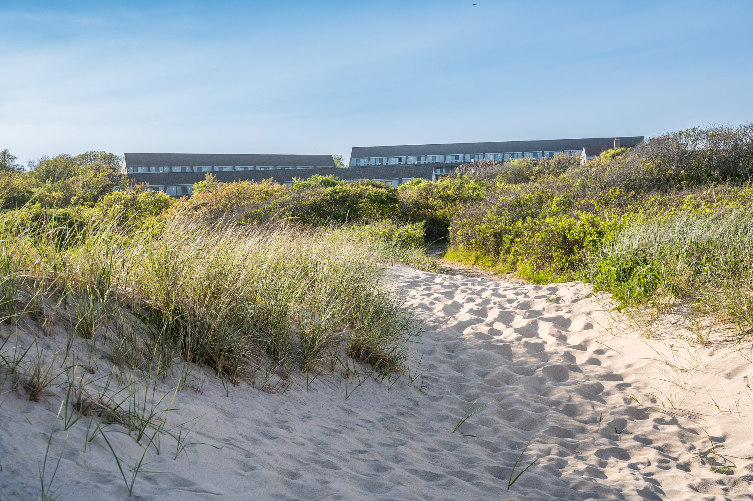 Oceanviews Front & Center Resort Martha Greene Real
