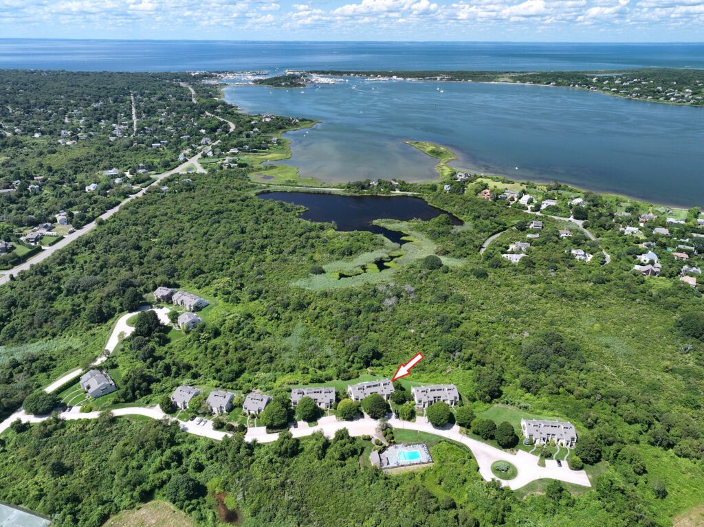 Step into Summer @ Steppingstones